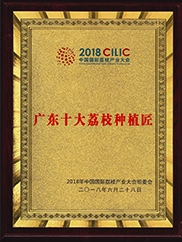 荣誉证书