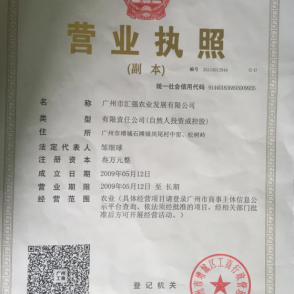 荣誉证书
